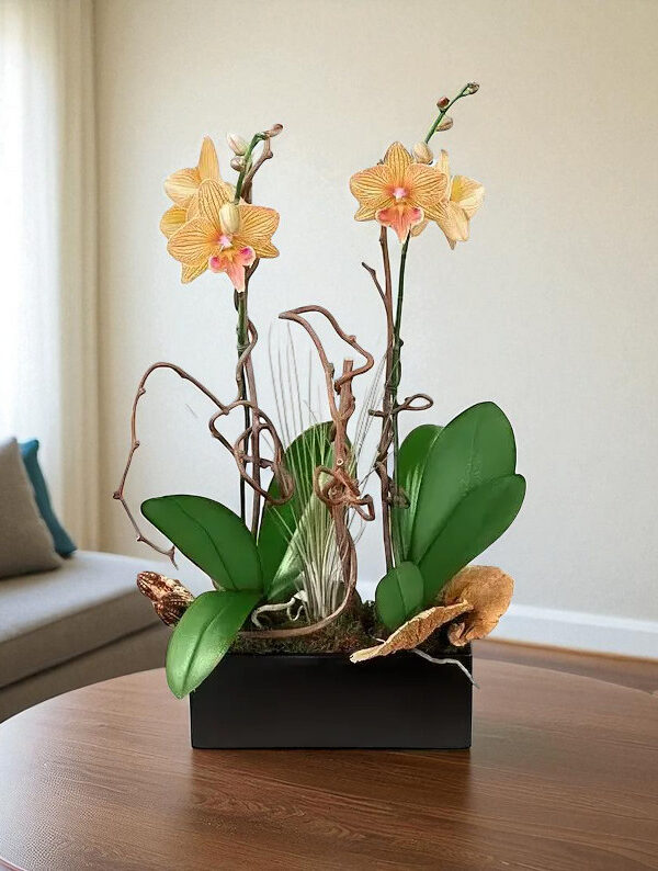 naturally-elegant-1-parkland