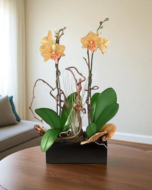 naturally-elegant-1-parkland