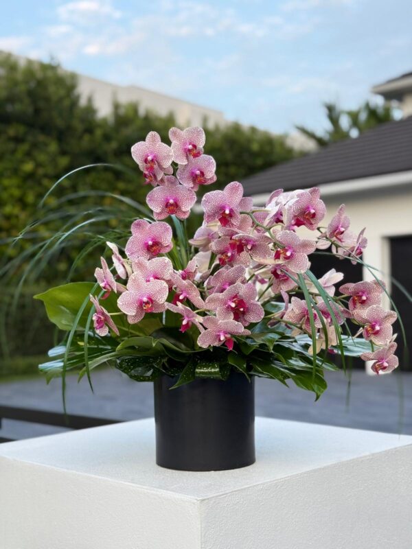 Bright Celebration: orchid arrangement