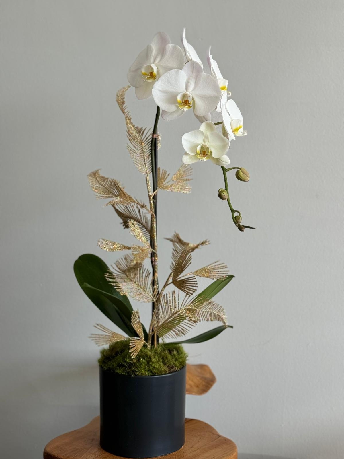 Christmas time: single orchid arrangement