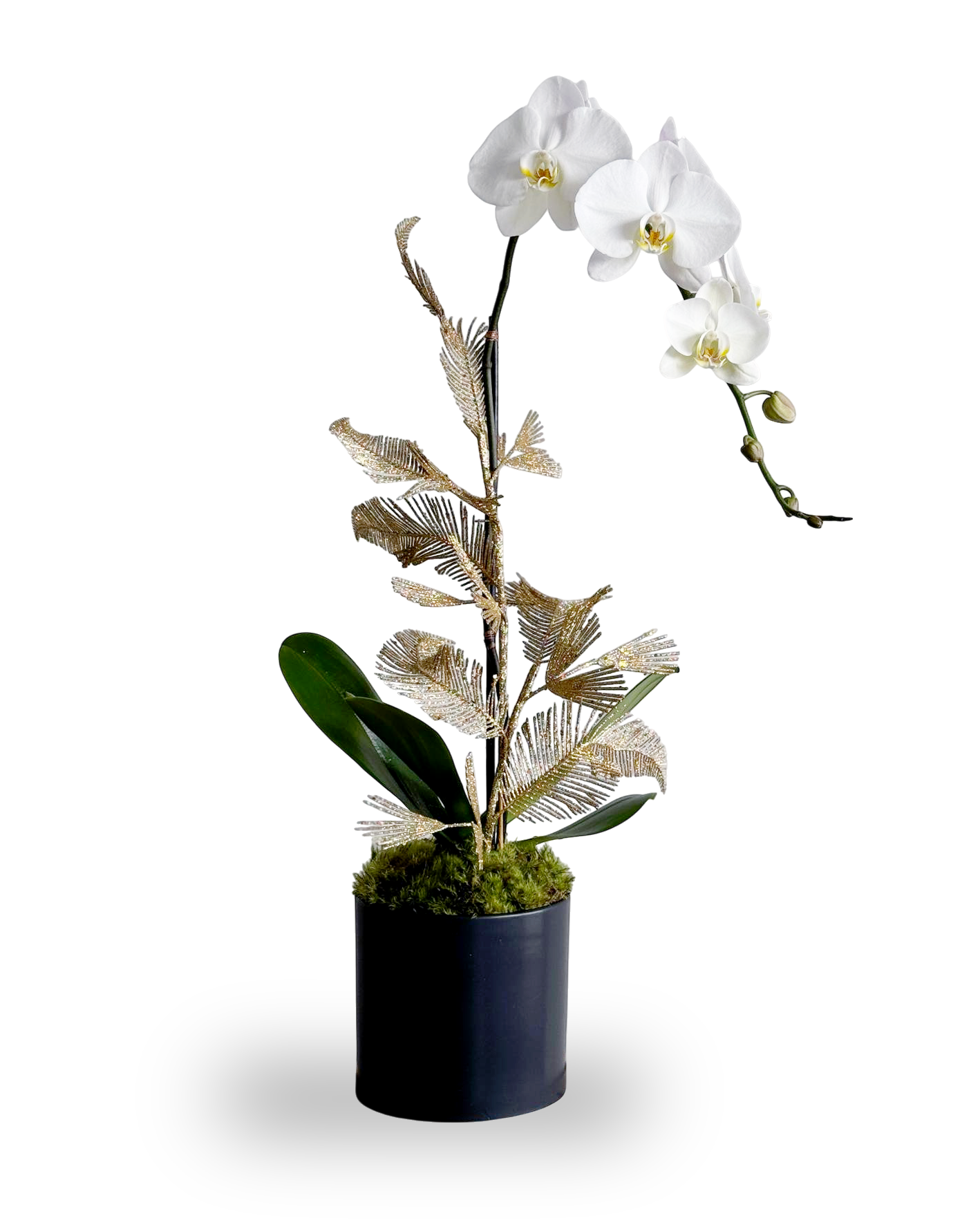 Christmas time: single orchid arrangement - Image 2
