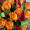 Orange vibe