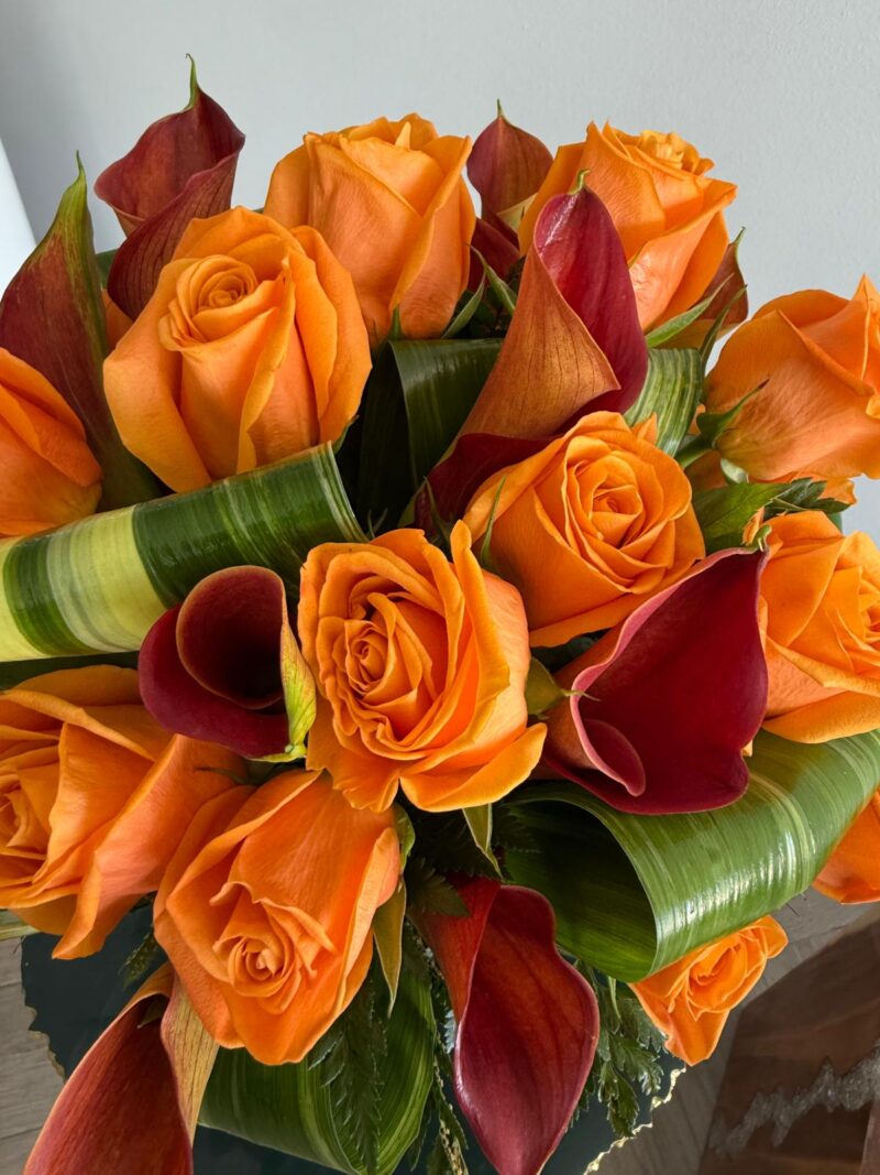 Orange vibe