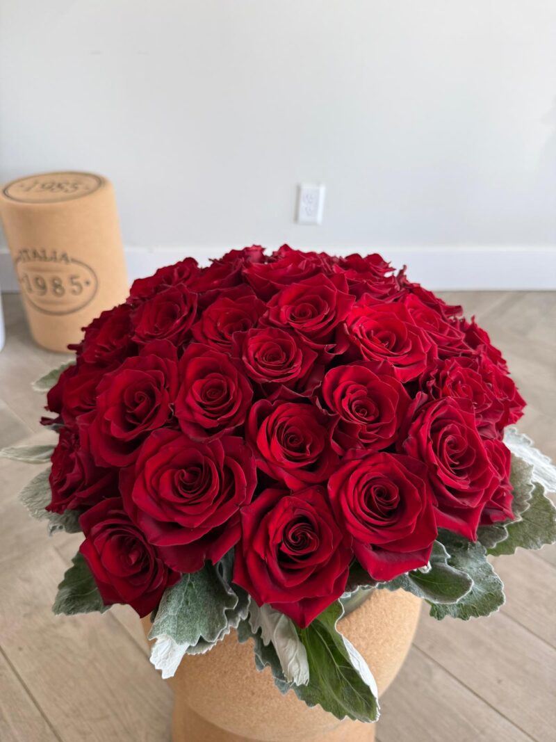 red roses
