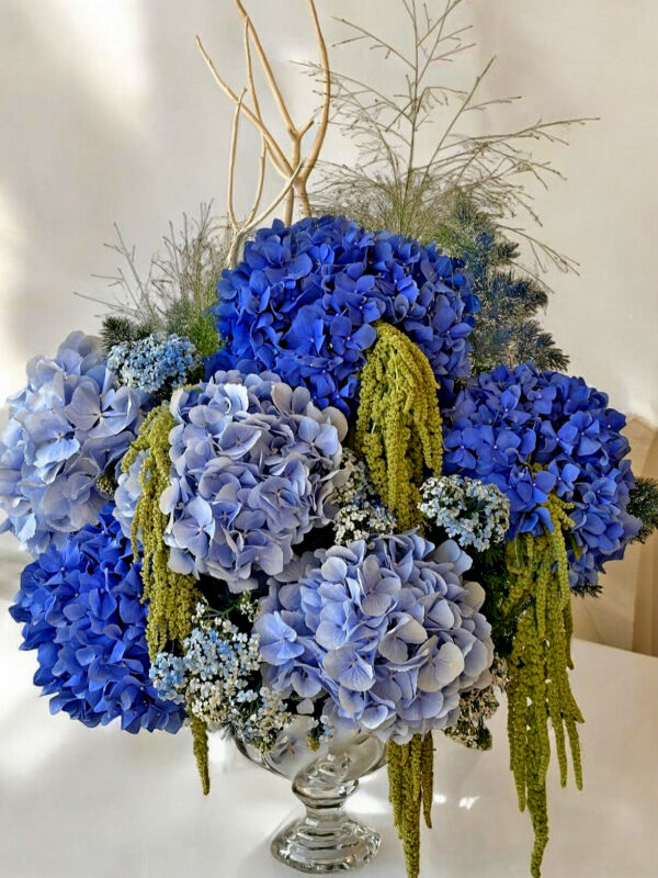 blue hydrangeas